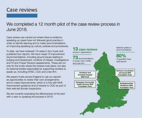 National Guardian annual report 21.11.2018 case reviews